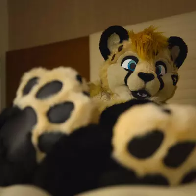 3B9C9825.jpg of cons/MFF-2018/