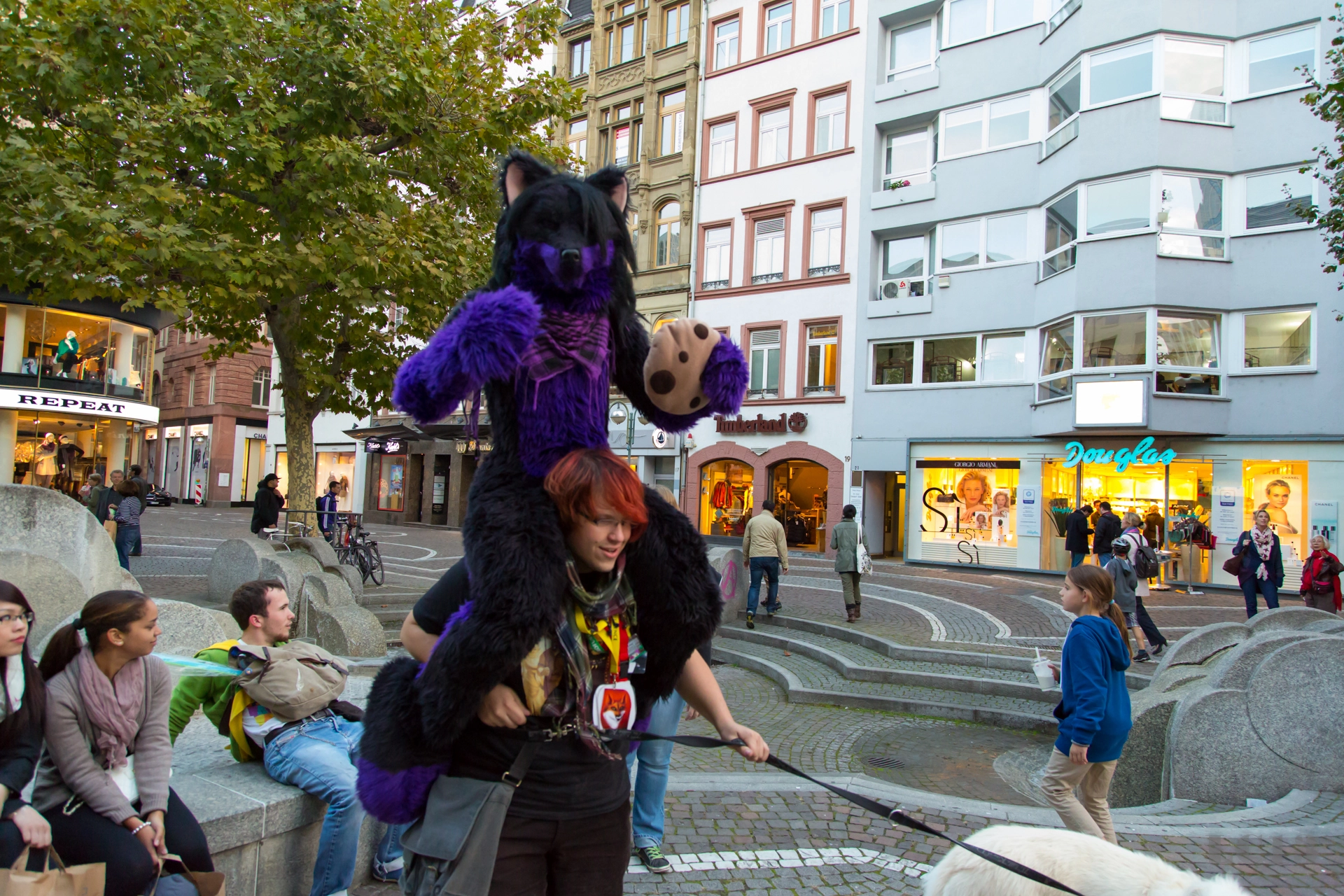 full image img-83.jpg