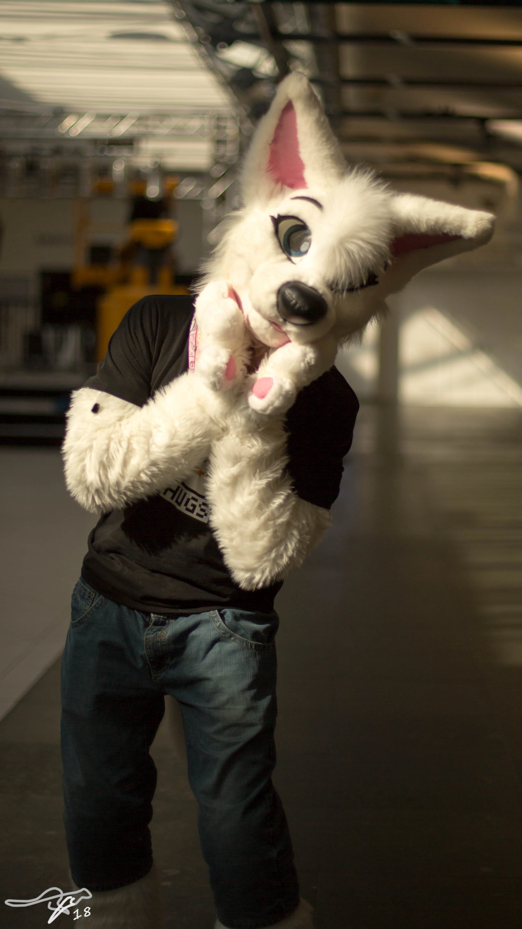 full image 3B9C7119.jpg