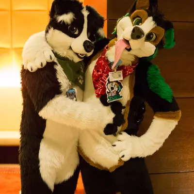 3B9C0024.jpg of cons/MFF-2018/