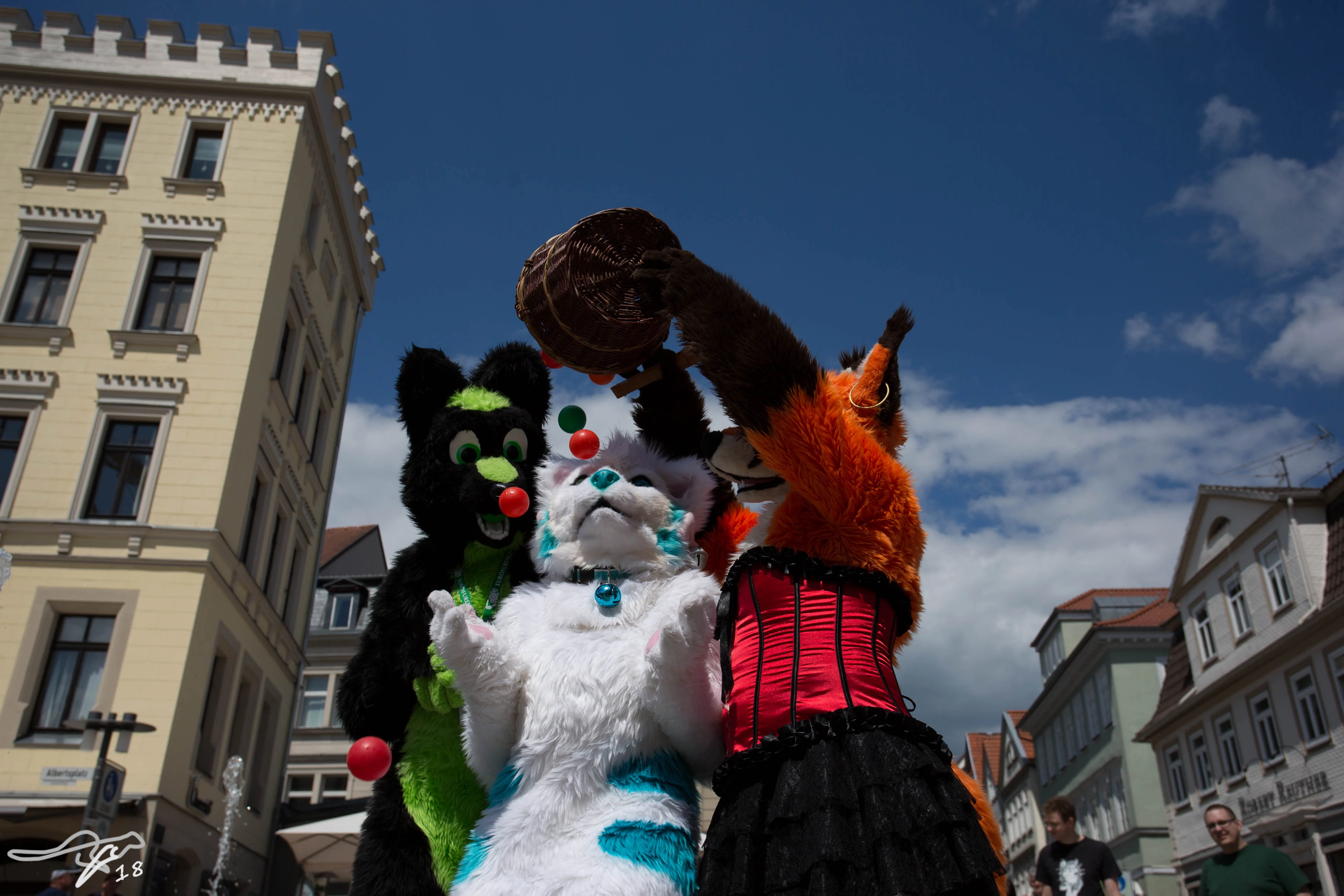 full image IMG_8685.jpg