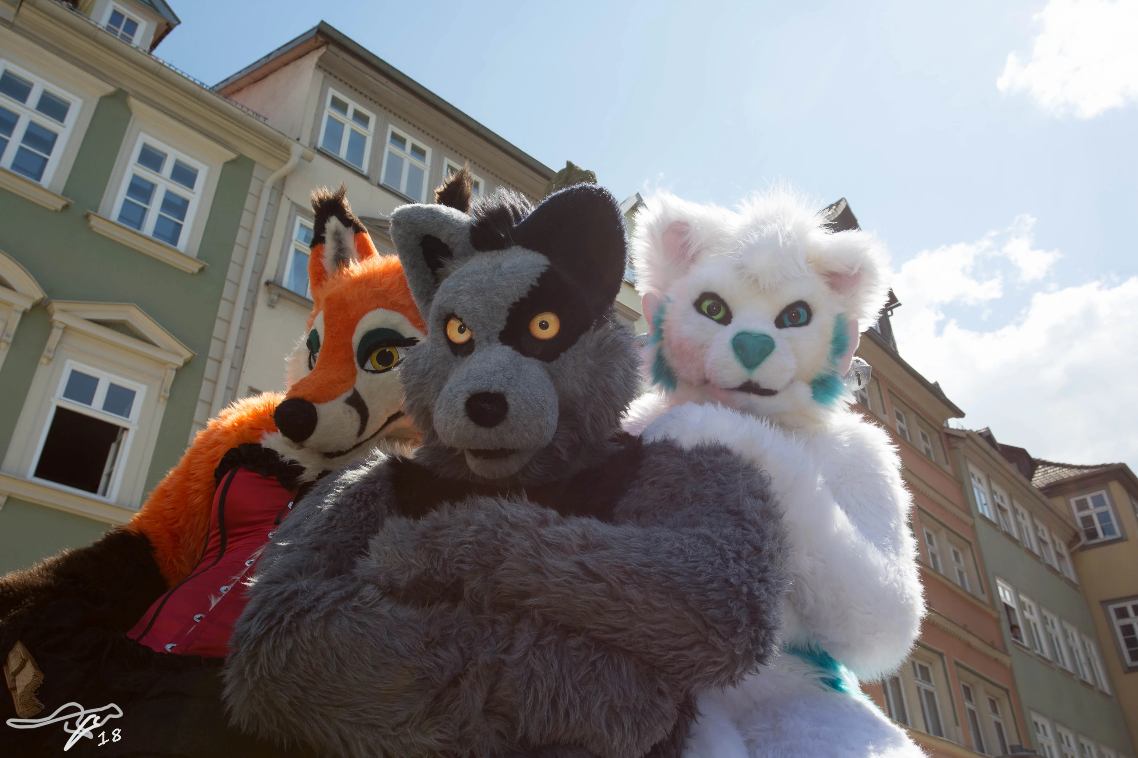 full image IMG_8595.jpg