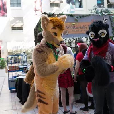 3B9C2881.jpg of cons/Eurofurence-21/