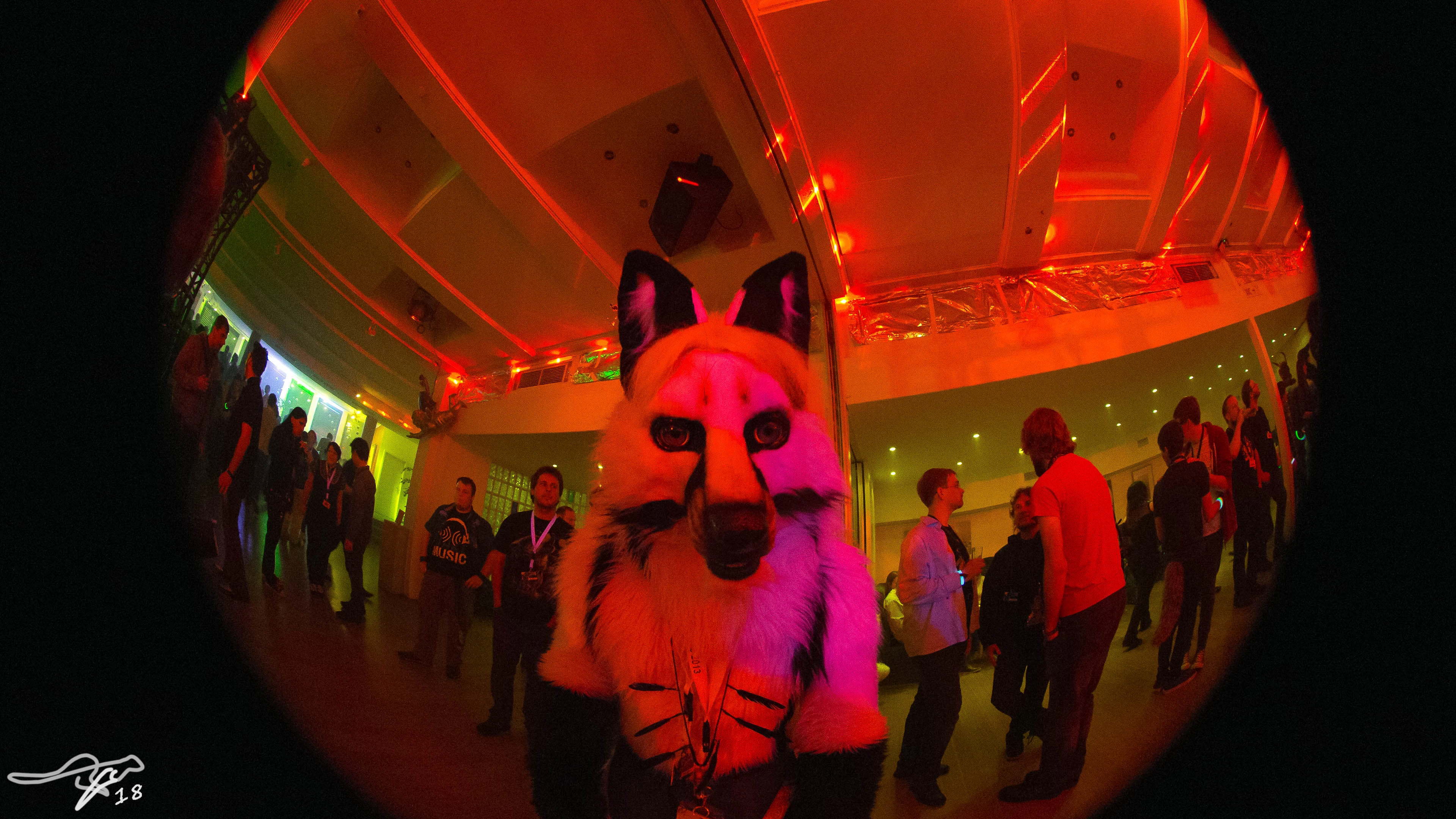full image IMG_7437.jpg