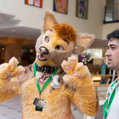 3B9C2899.jpg of cons/Eurofurence-21/