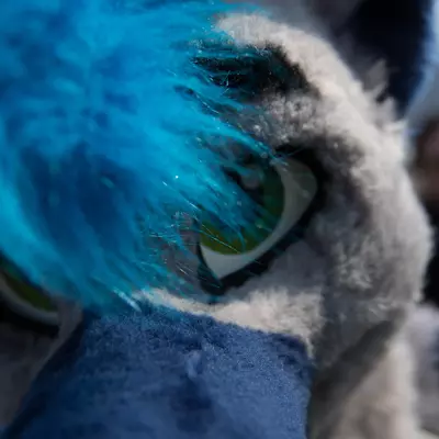 3B9C6309.jpg of cons/Fursuit-Bungeejumping-2016/