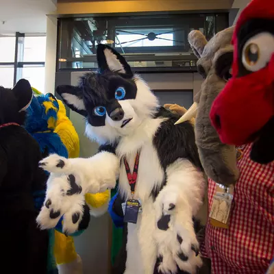 3B9C9568.jpg of cons/Eurofurence-20/