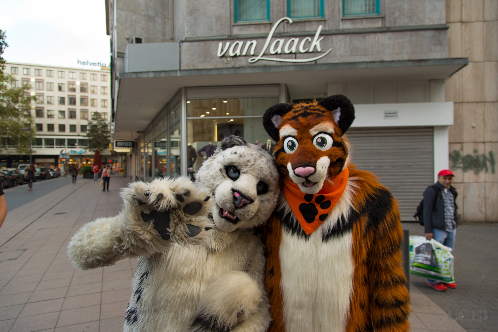 full image img-41.jpg