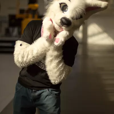 3B9C7119.jpg of cons/Eurofurence-22/