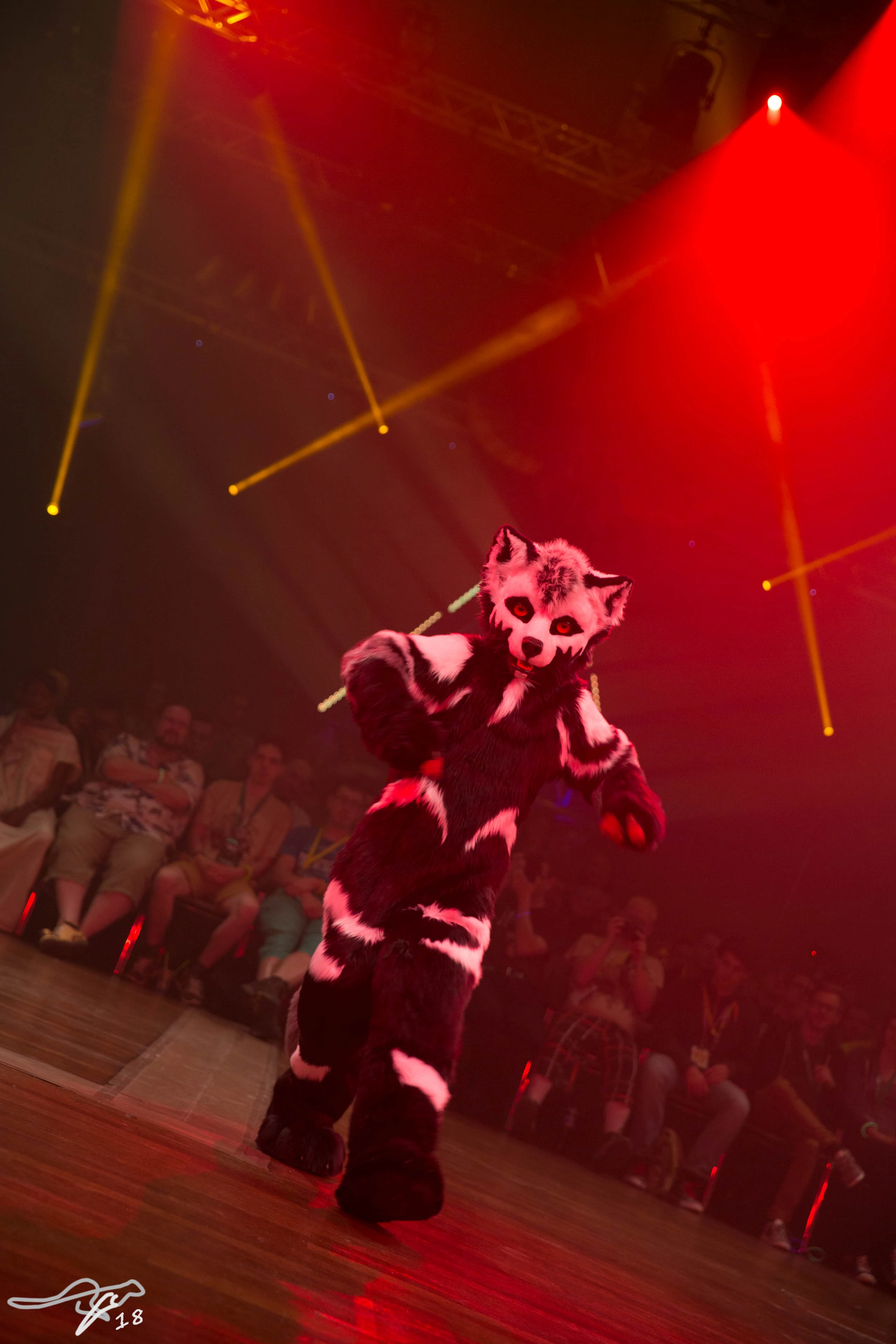 full image 3B9C1110.jpg