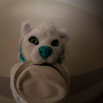 IMG_8607.jpg of cons/Fursuitwalk-Coburg-2014/
