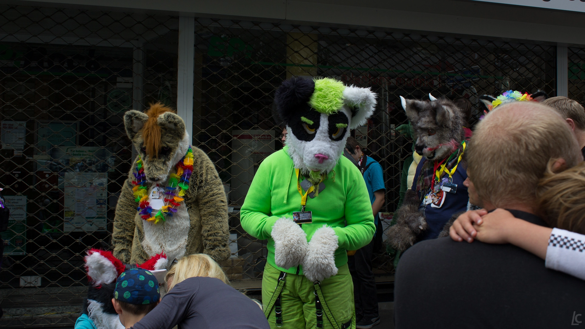 full image img-23.jpg