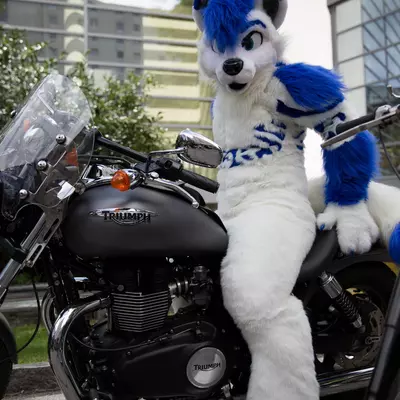 3B9C8244.jpg of cons/Eurofurence-22/