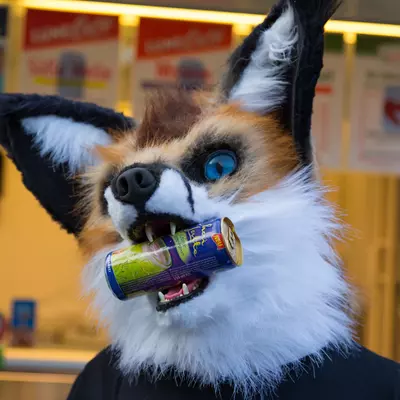 img-25.jpg of cons/Fursuitwalk-Frankfurt-2013/