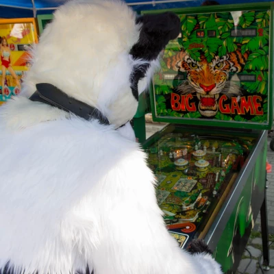 3B9C2765.jpg of cons/Animal-Rescue-2015/