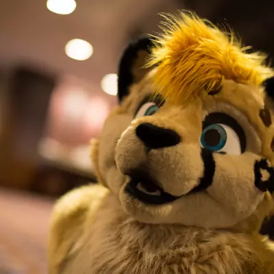 3B9C9878.jpg of cons/MFF-2018/