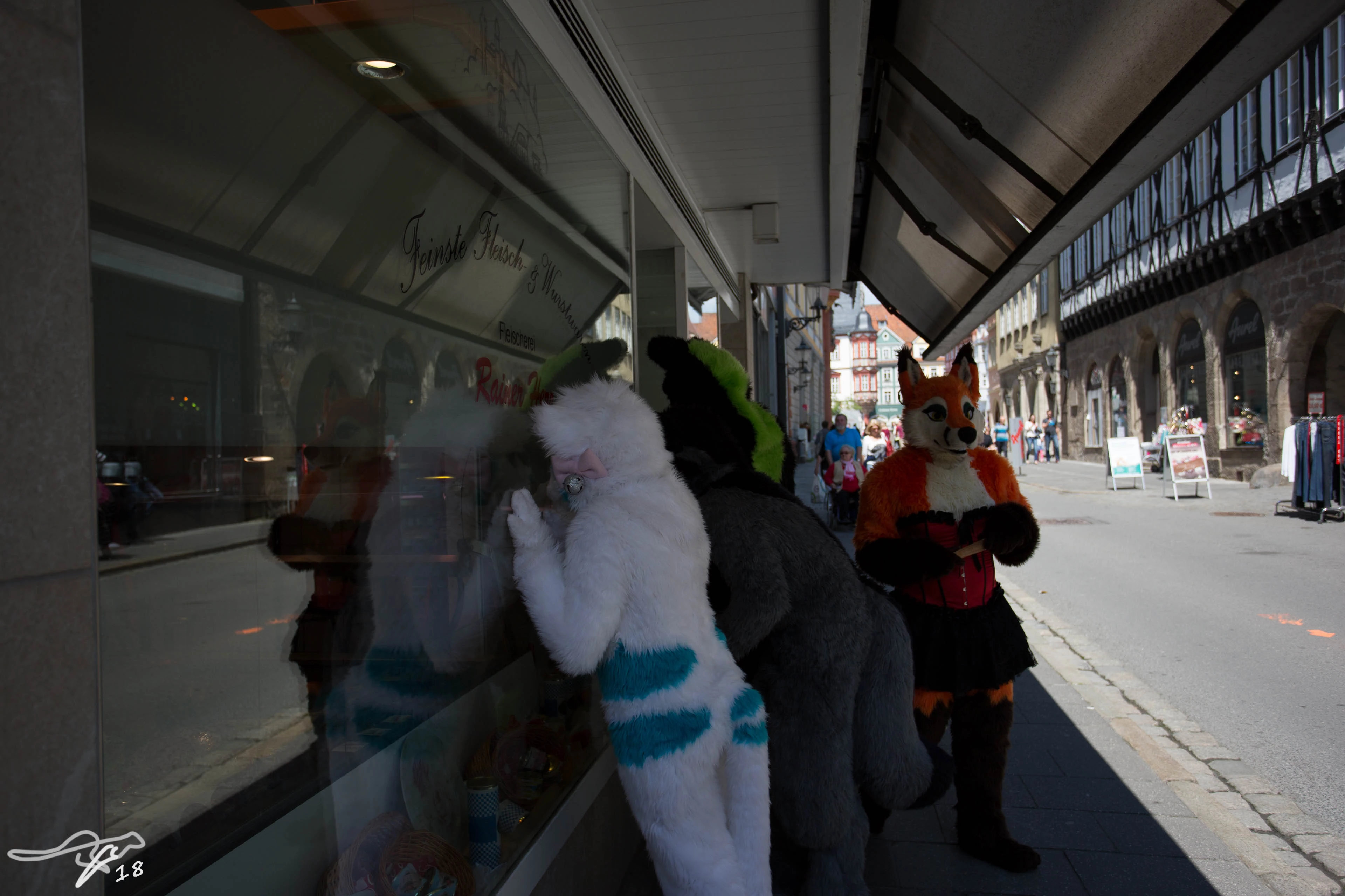full image IMG_8621.jpg