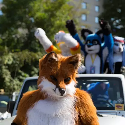 3B9C3441.jpg of cons/Eurofurence-21/