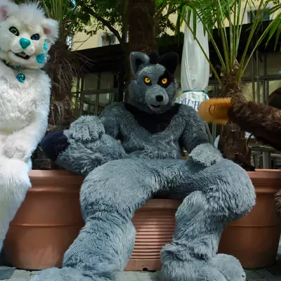 IMG_8535.jpg of cons/Fursuitwalk-Coburg-2014/