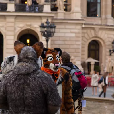 img-71.jpg of cons/Fursuitwalk-Frankfurt-2013/
