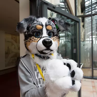 Next album: Eurofurence-20