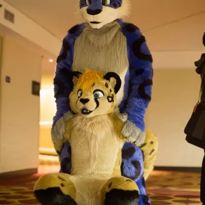 3B9C9703.jpg of cons/MFF-2018/