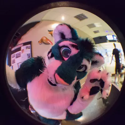 fsb-13.jpg of cons/Fursuitbowlen-Wiesbaden-2013/