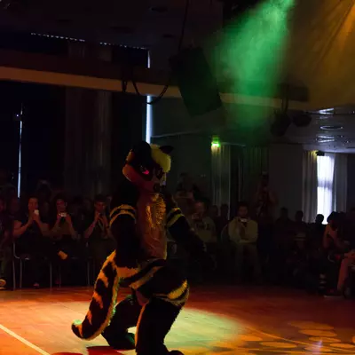 3B9C0295.jpg of cons/Eurofurence-20/