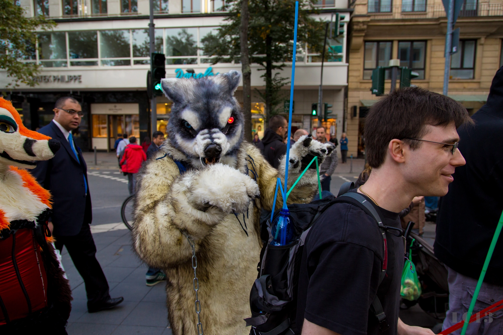 full image img-35.jpg