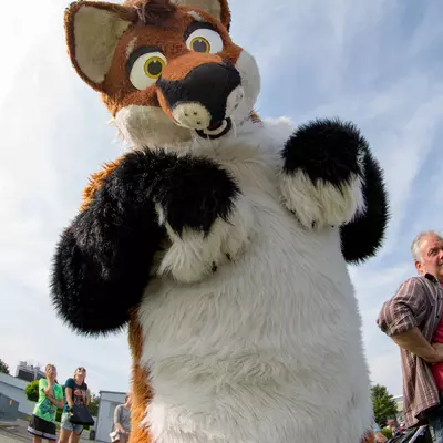 3B9C2478.jpg of cons/Flugplatzfest-2015/