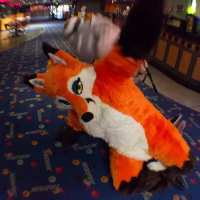fsb-19.jpg of cons/Fursuitbowlen-Wiesbaden-2013/