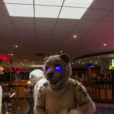 fsb-27.jpg of cons/Fursuitbowlen-Wiesbaden-2013/
