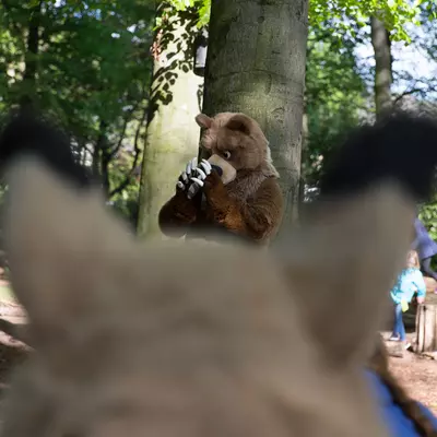 3B9C1095.jpg of cons/Zoo-Krefeld-2015/