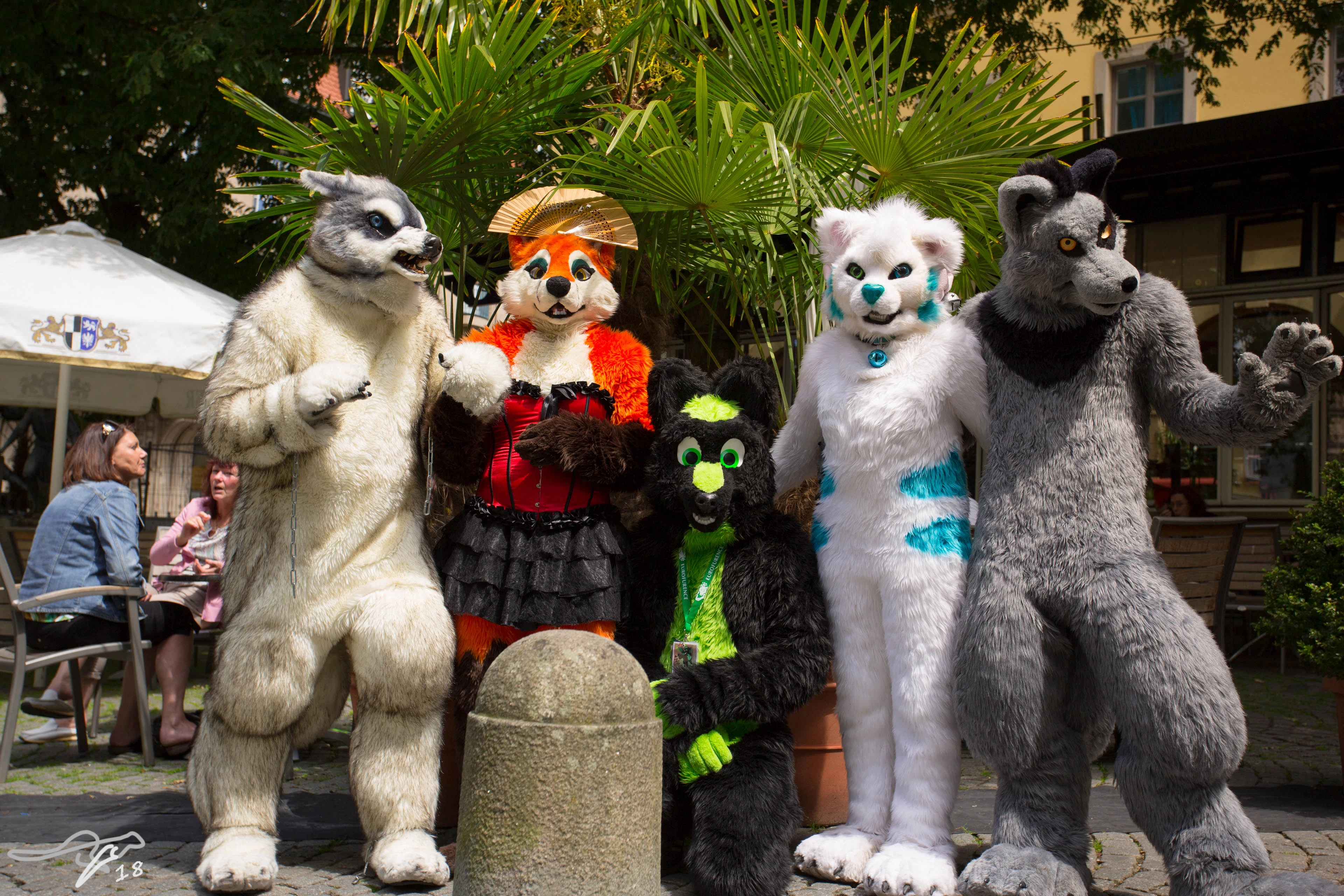 full image IMG_8528.jpg