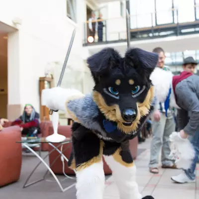3B9C2908.jpg of cons/Eurofurence-21/