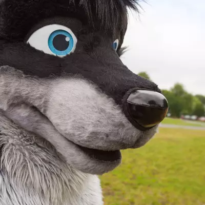 3B9C9249-2.jpg of cons/Fursuit-Bungeejumping-2014/