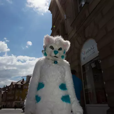 IMG_8623.jpg of cons/Fursuitwalk-Coburg-2014/