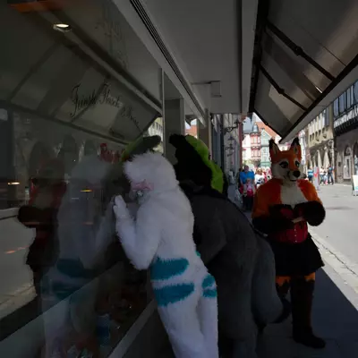IMG_8621.jpg of cons/Fursuitwalk-Coburg-2014/