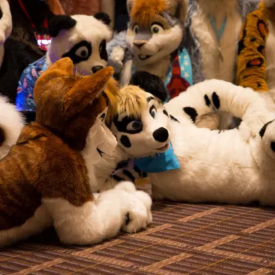 3B9C0099.jpg of cons/MFF-2018/