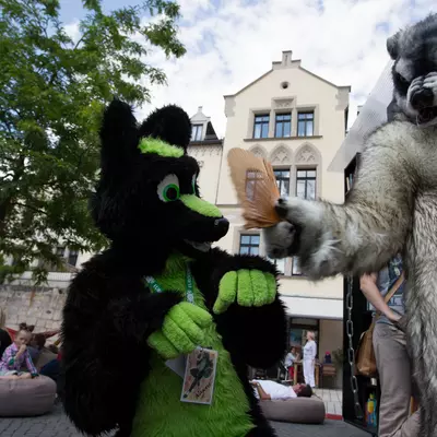 IMG_8734.jpg of cons/Fursuitwalk-Coburg-2014/