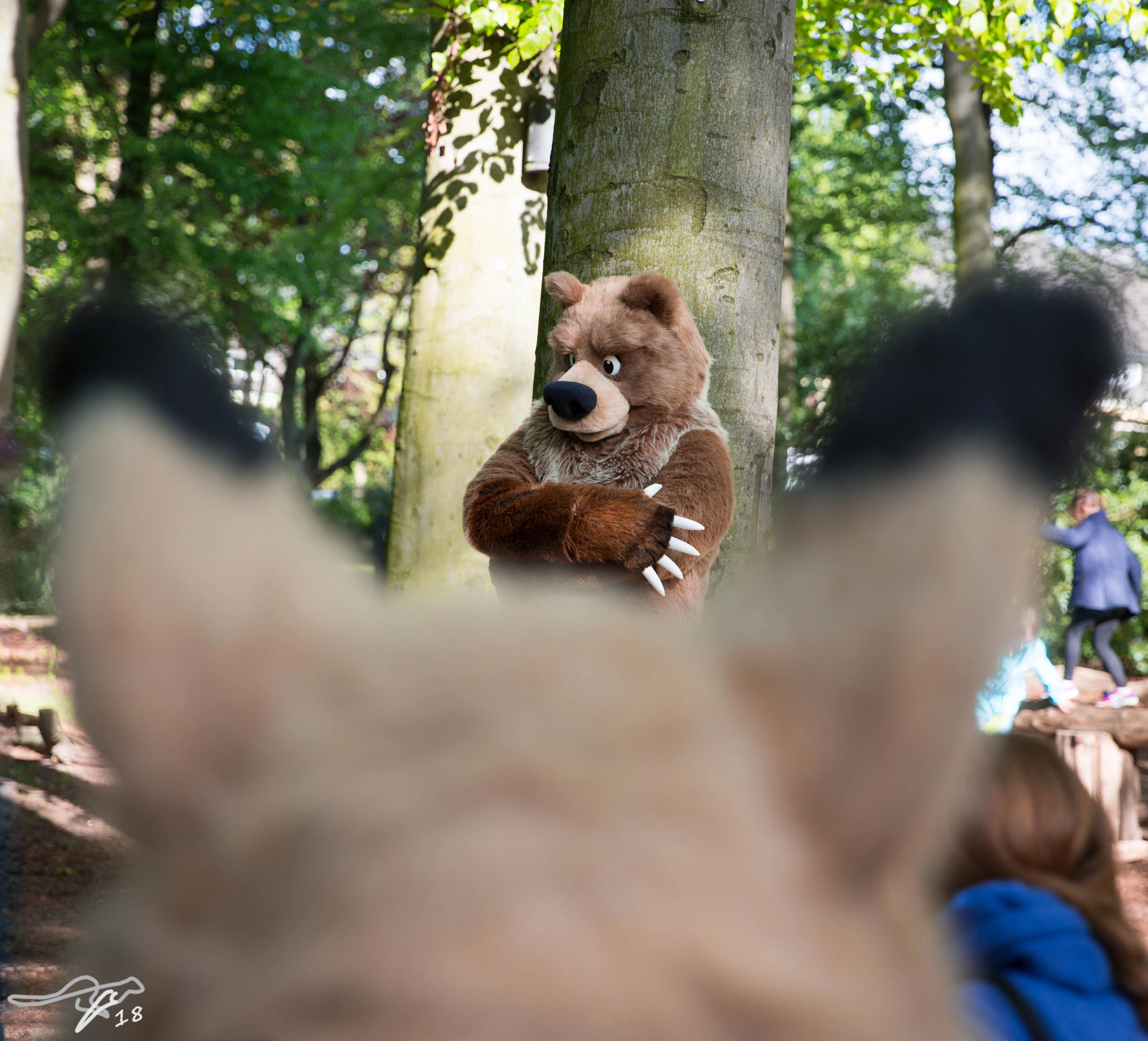 full image 3B9C1094-Bearbeitet.jpg