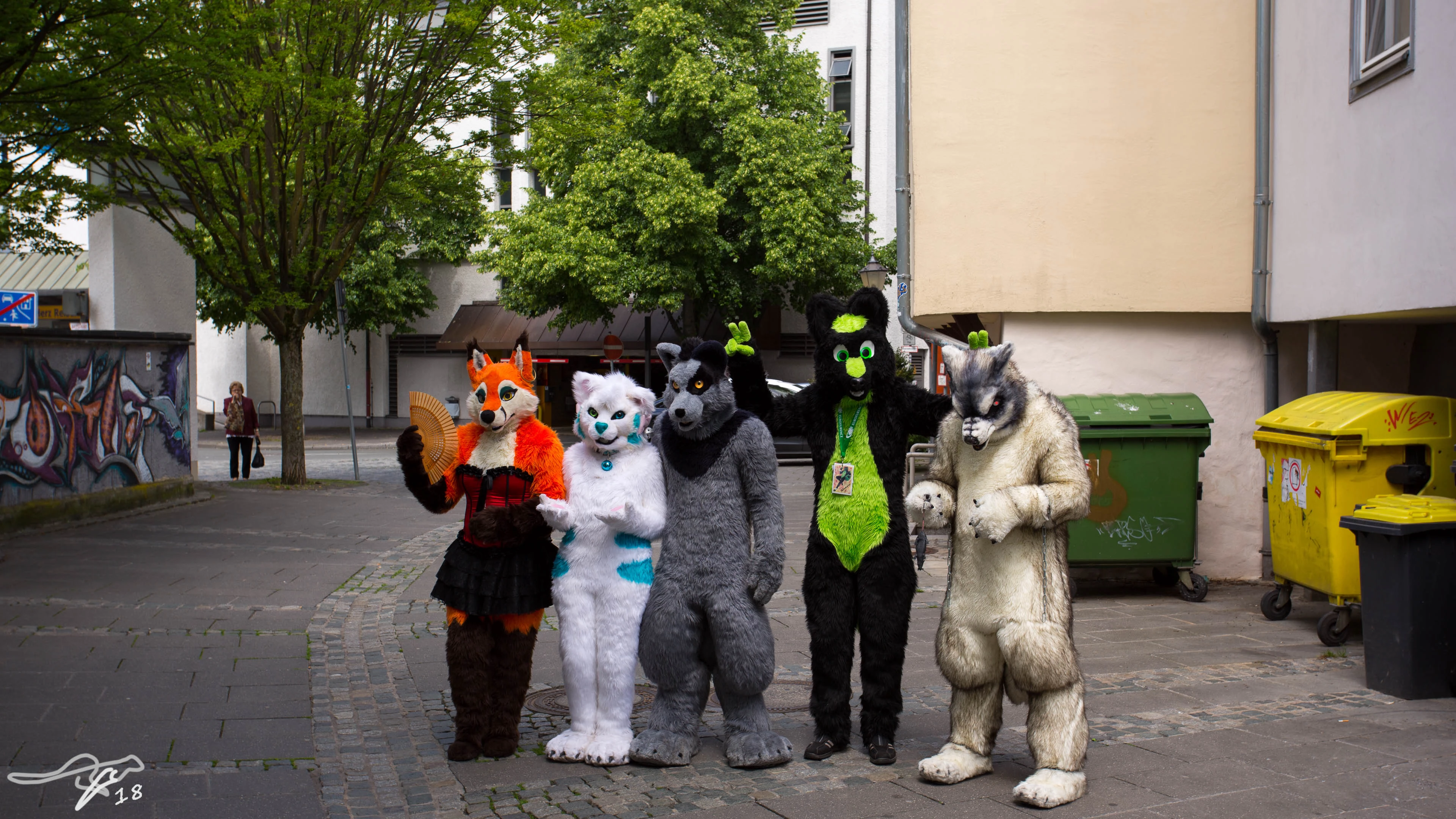 full image IMG_8524.jpg