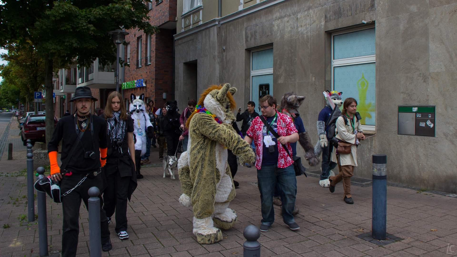full image img-9.jpg