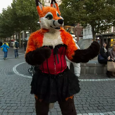 img-80.jpg of cons/Fursuitwalk-Frankfurt-2013/