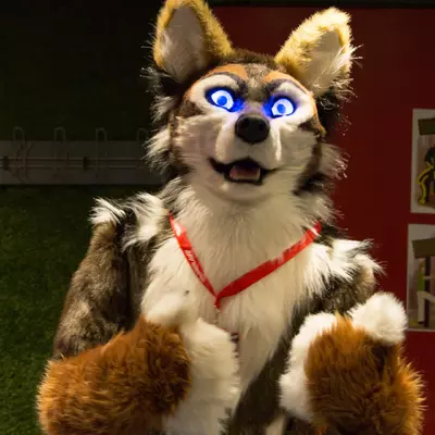 3B9C0537.jpg of cons/Furrave-5/