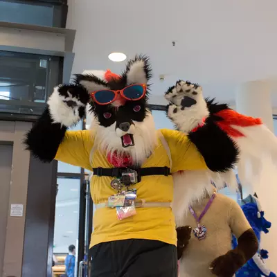 3B9C9680.jpg of cons/Eurofurence-20/