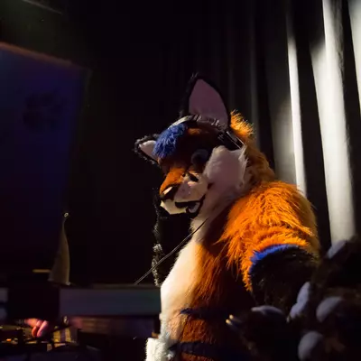 3B9C1371.jpg of cons/Furrave-3/