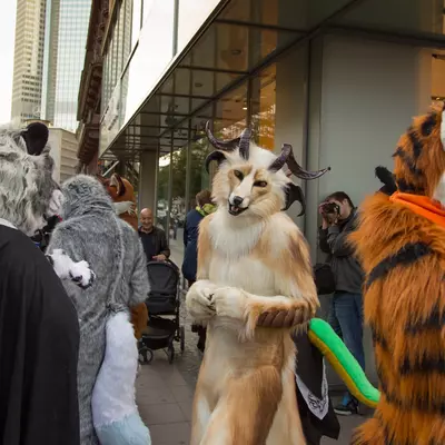 img-34.jpg of cons/Fursuitwalk-Frankfurt-2013/