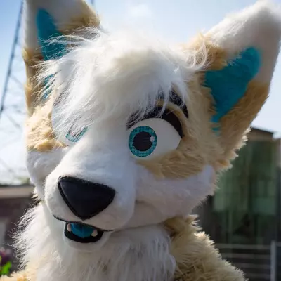 3B9C6373.jpg of cons/Fursuit-Bungeejumping-2016/