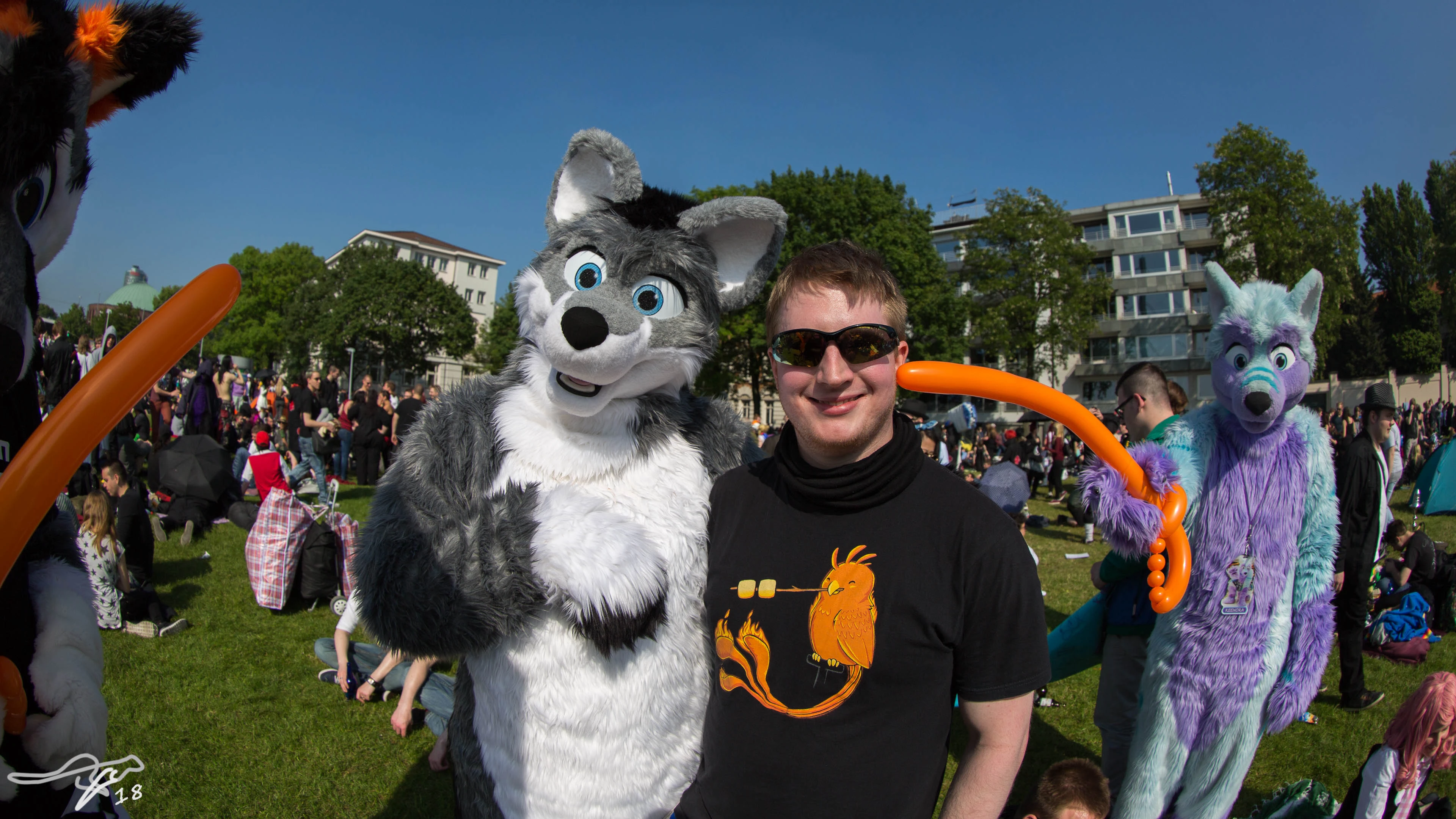 full image IMG_8113.jpg